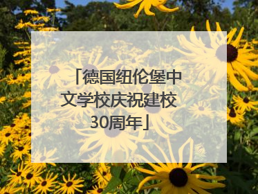 德国纽伦堡中文学校庆祝建校30周年